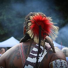 Person wearing feathers at powwow
